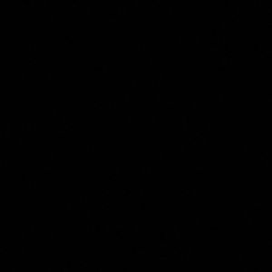 Meet your Posher, Katy